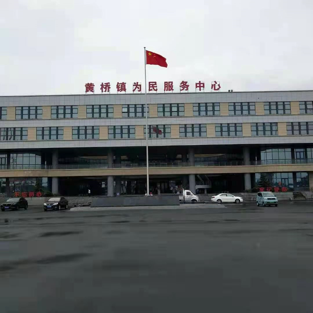 泰兴黄桥镇政府蜜桃视频在线免费观看项目